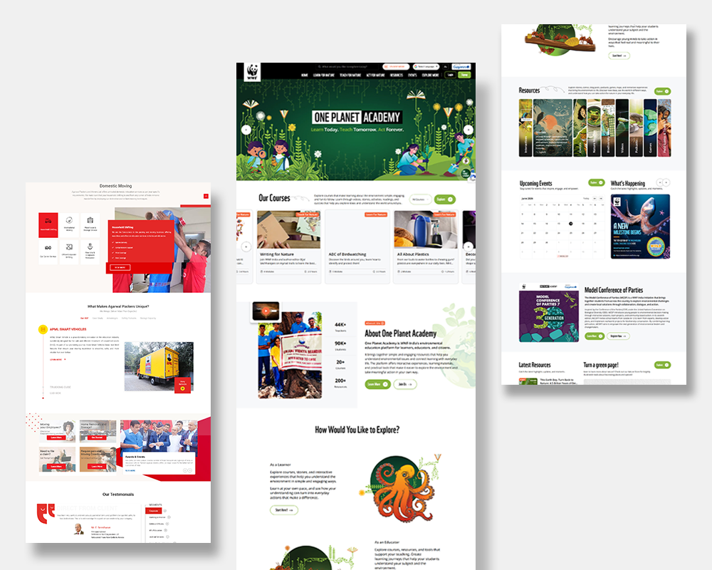 Website Design and Development visuals